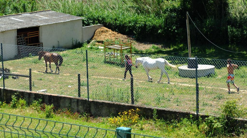 Quinta Do Forno Guest House Maçeira Екстериор снимка